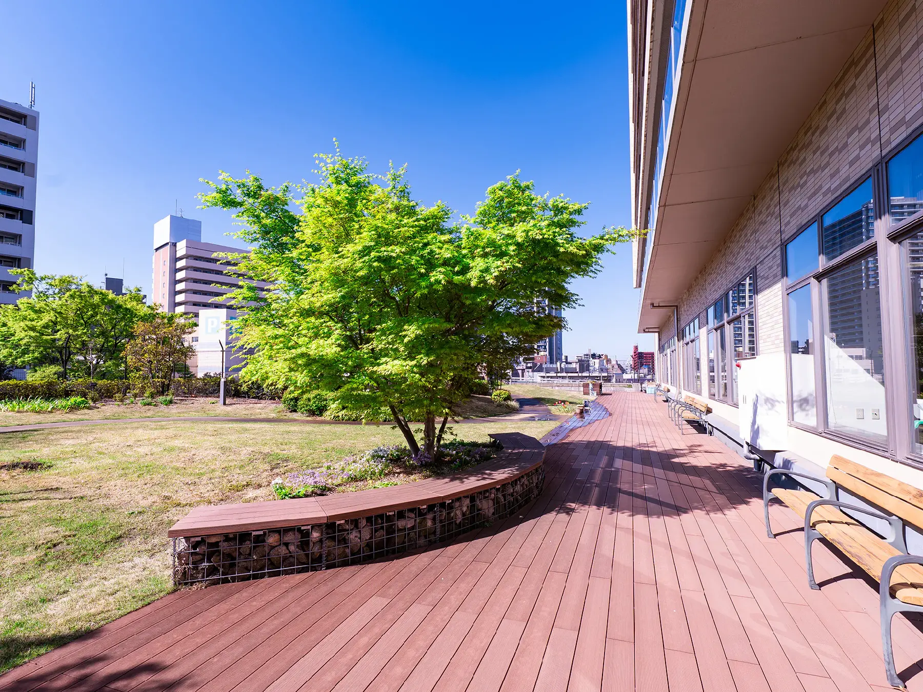 屋上庭園