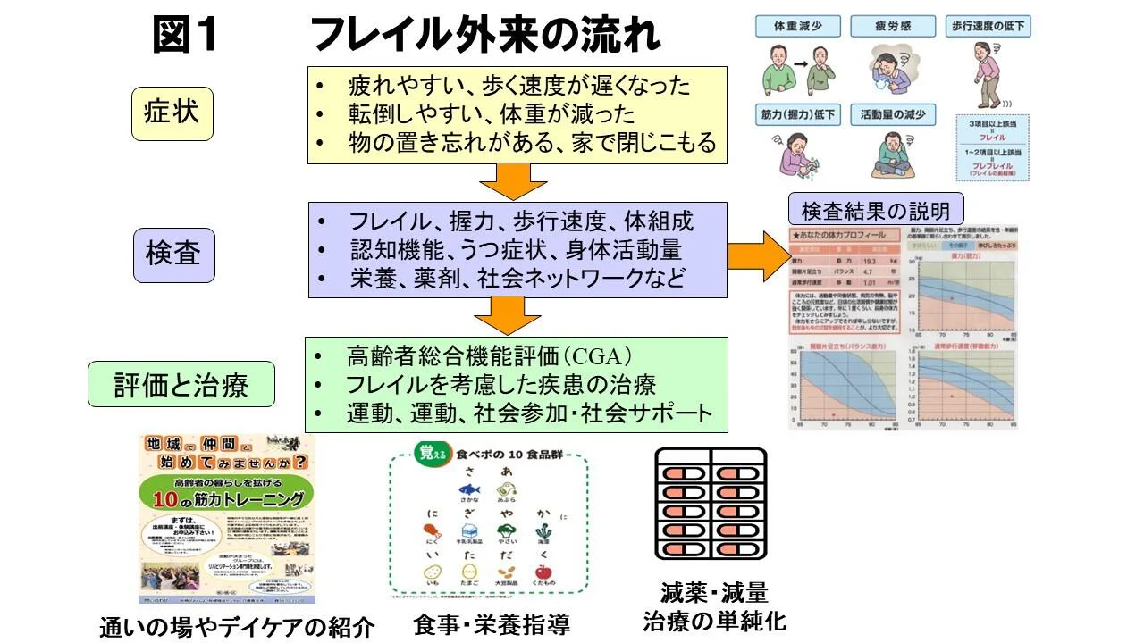 フレイル外来の流れ