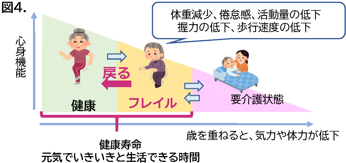 図４年齢と心身機能の関係