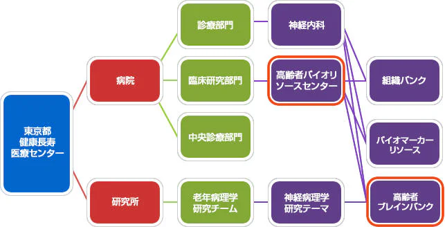 高齢者バイオリソースセンタ-