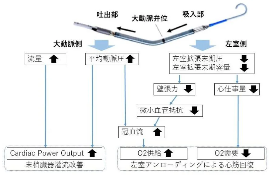 インペラの効果