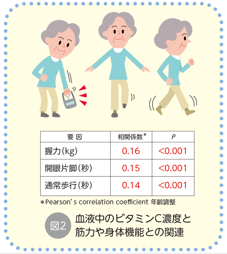 血液中のビタミンC濃度と筋力や身体機能との関連