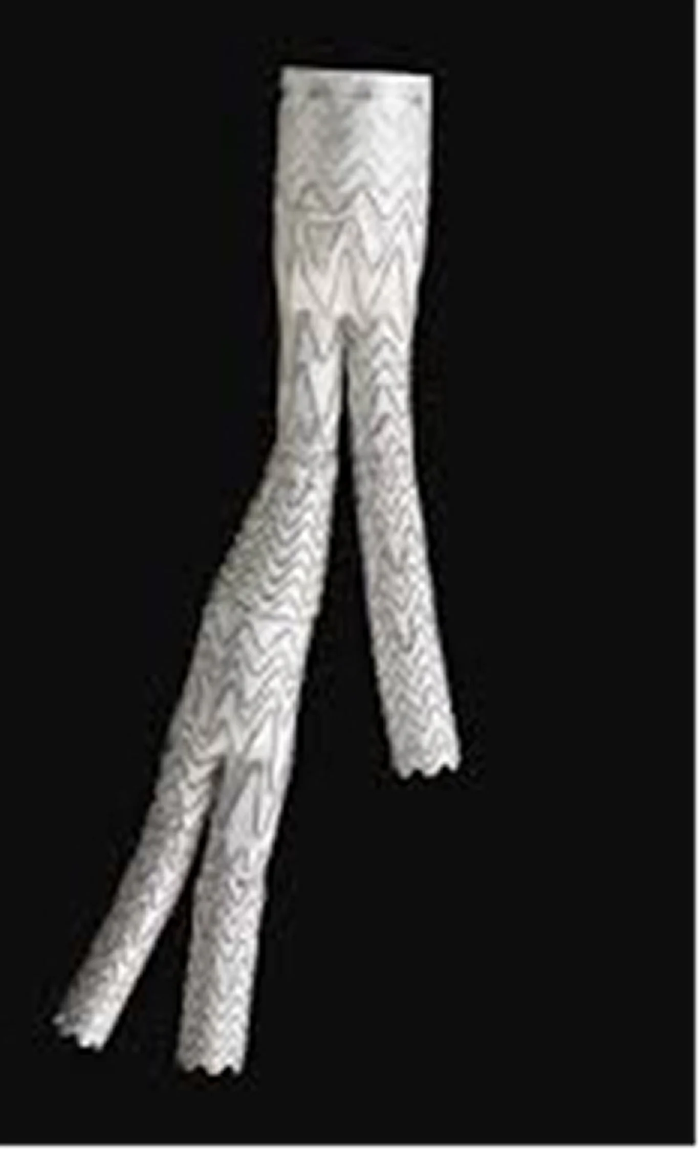 内腸骨動脈再建用ステントグラフト（Iliac Branch Endoporesis®；IBE®）