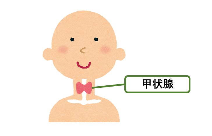 甲状腺機能障害　(甲状腺機能亢進症・甲状腺機能低下症)01