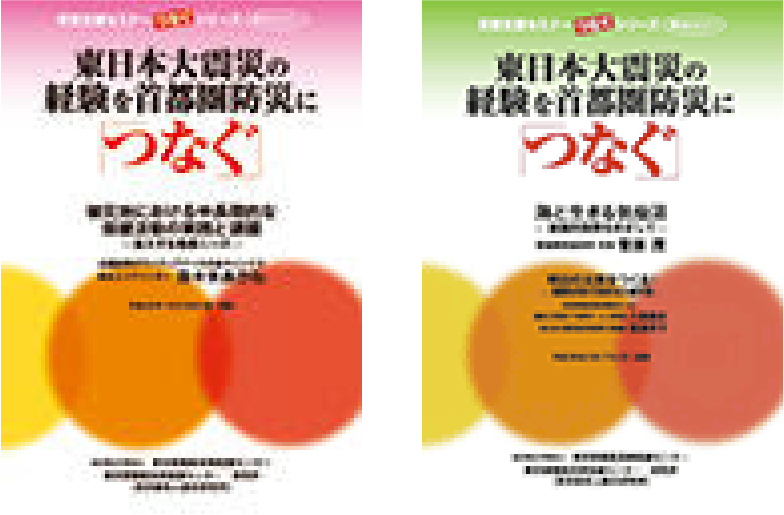 災害支援セミナーつなぐシリーズ講演集5.6