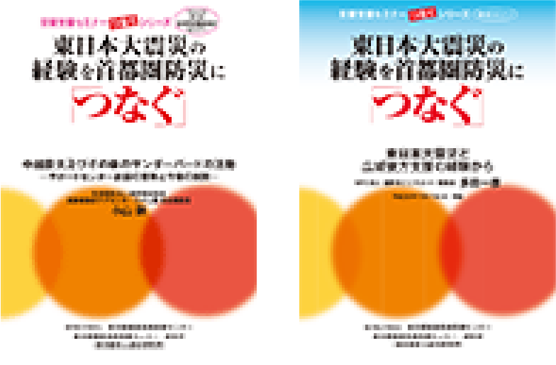 災害支援セミナーつなぐシリーズ講演集3.4
