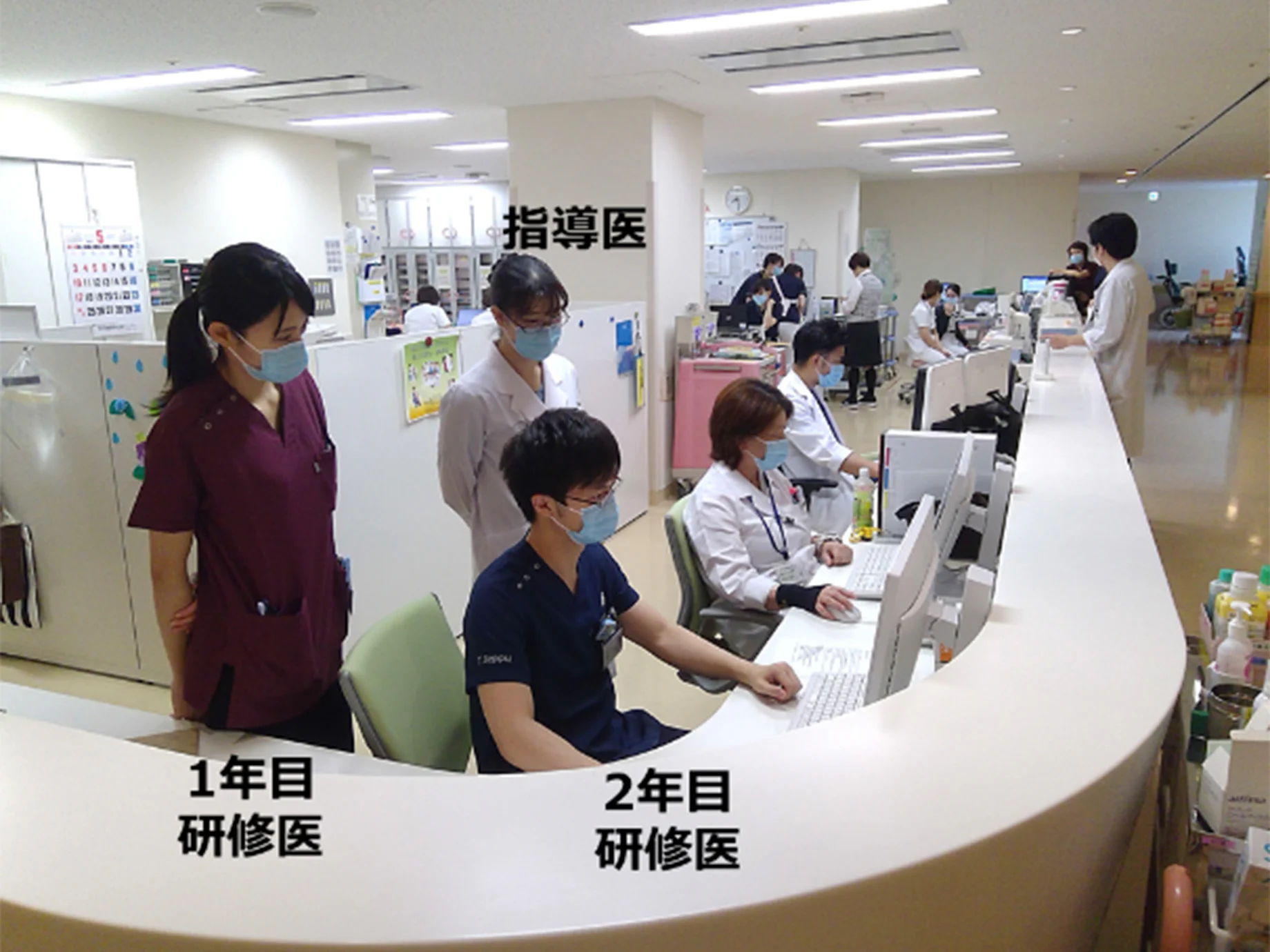 歯科_臨床研修_2