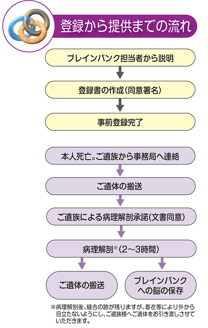 登録から提供までの流れ
