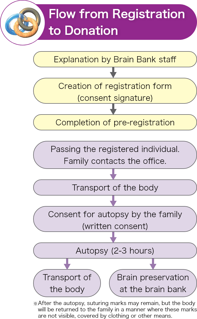 Process from Registration to Donation