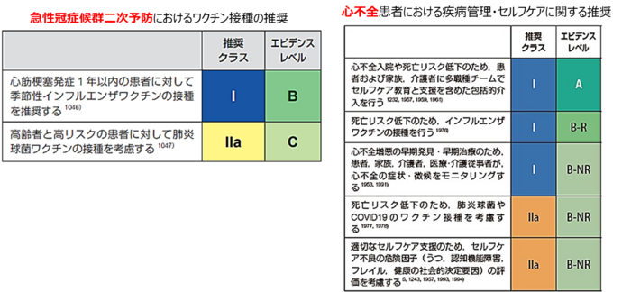 ガイドラインにおけるインフルエンザワクチン接種の推奨