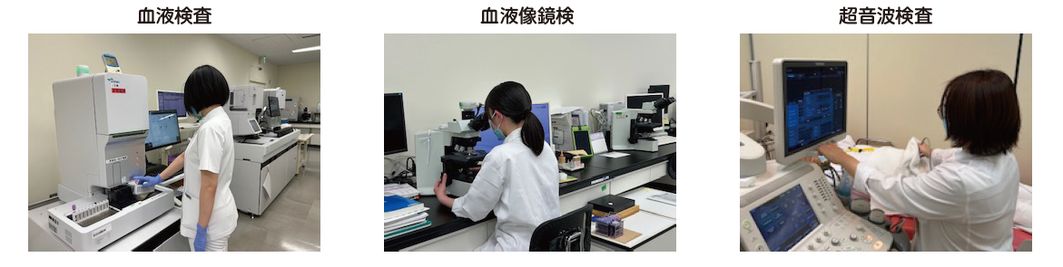 臨床検査技師