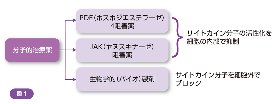 乾癬とアトピー性皮膚炎01