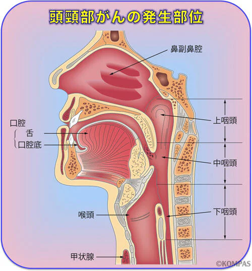 放射線治療科01