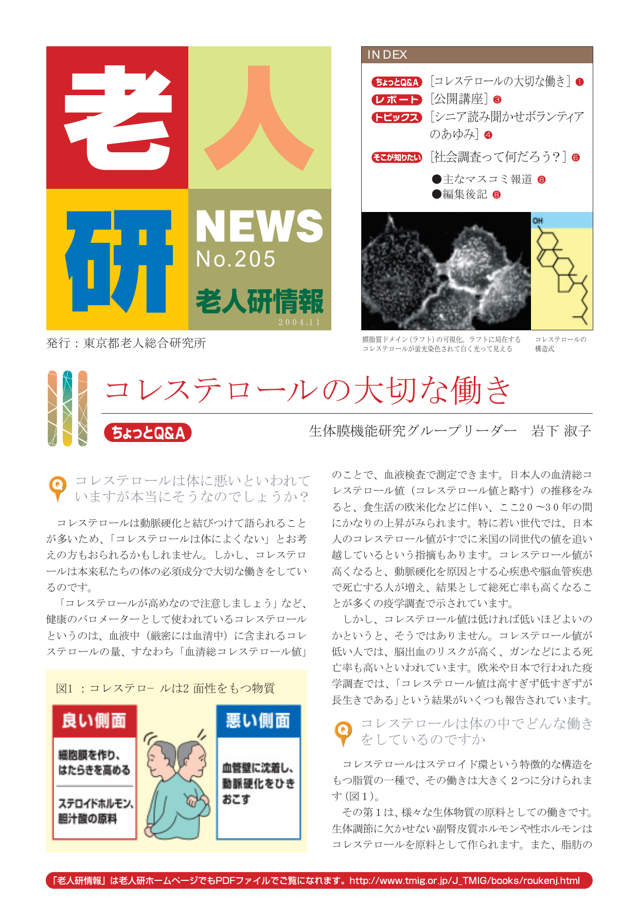 研究所NEWS No.205