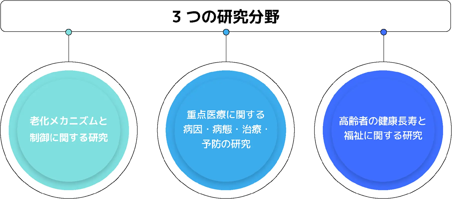 3つの研究分野