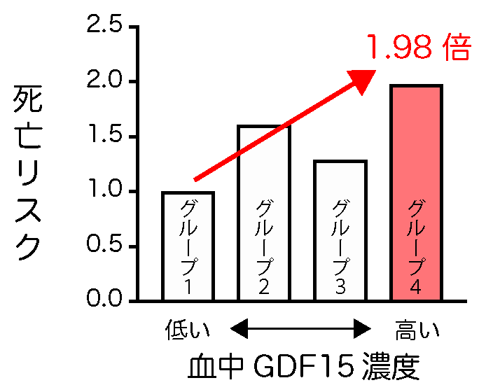 高齢者におけるGDF15と死亡リスクの関係
