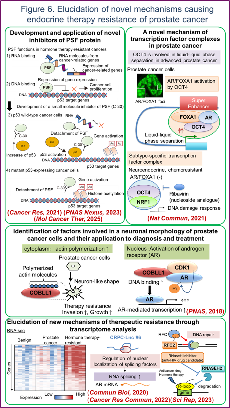 Figure 6. Elucidation of novel mechanisms causing endocrine therapy resistance of prostate cancer