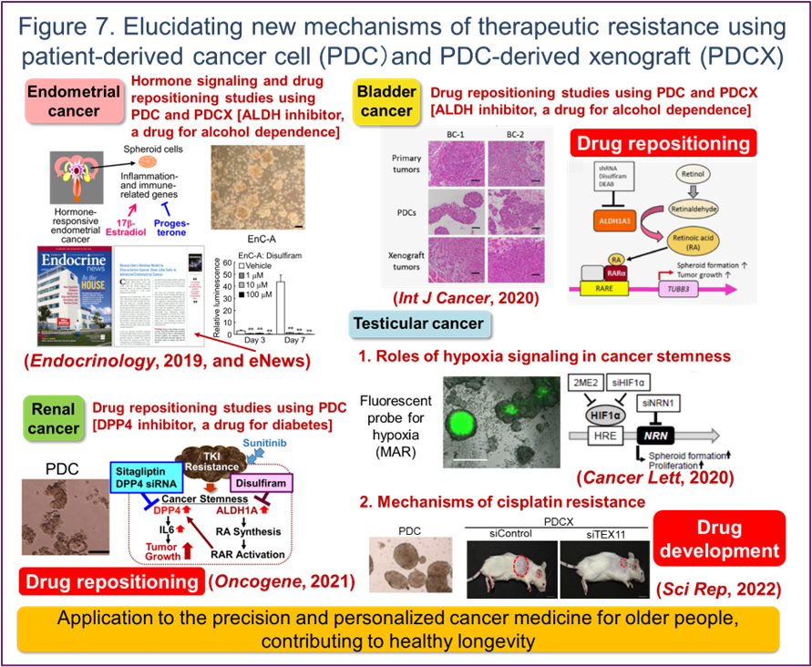 Figure 7. Elucidating new mechanisms of therapeutic resistance using patient-derived cancer cell (PDC) and PDC-derived xenograft (PDCX)