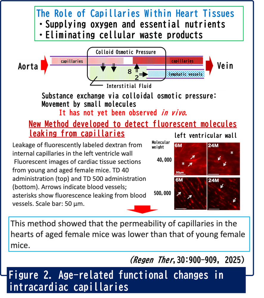 Figure2