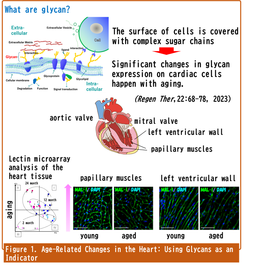 Figure1