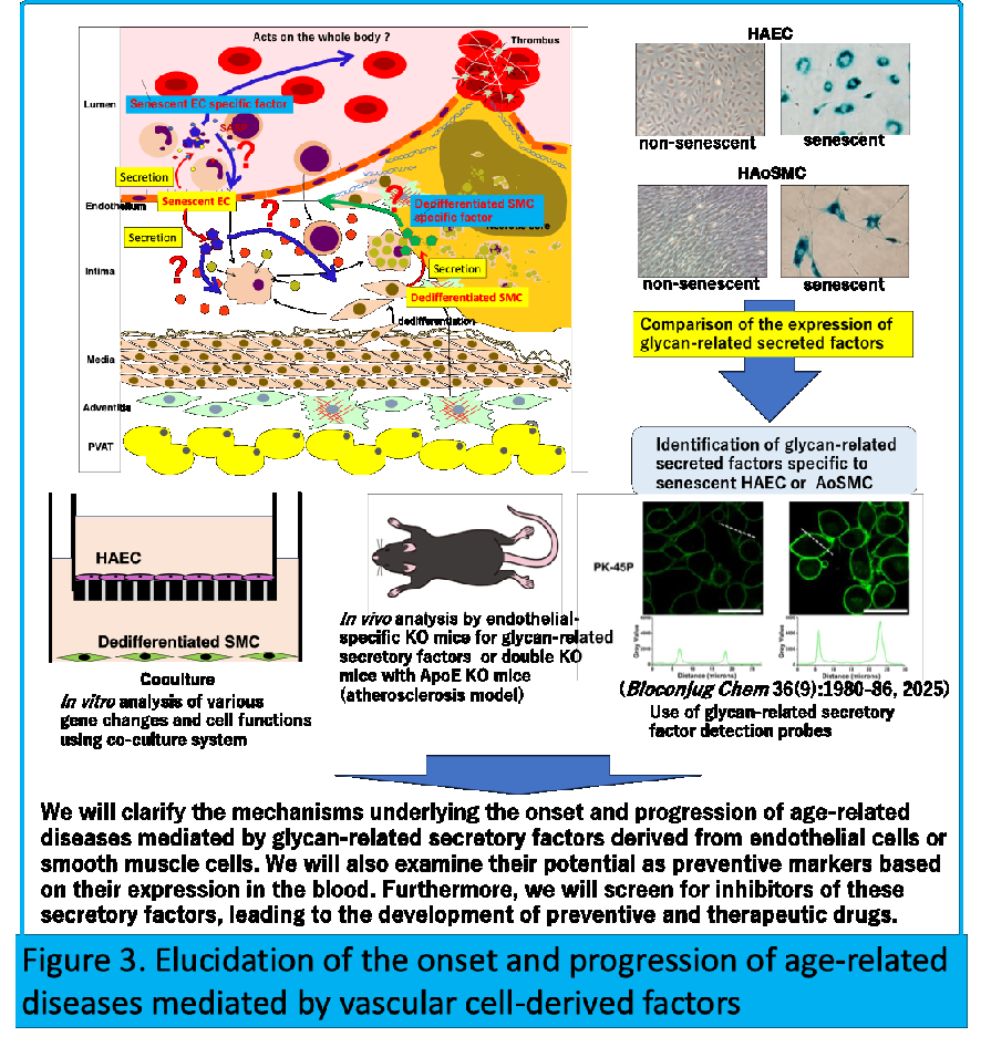 Figure3