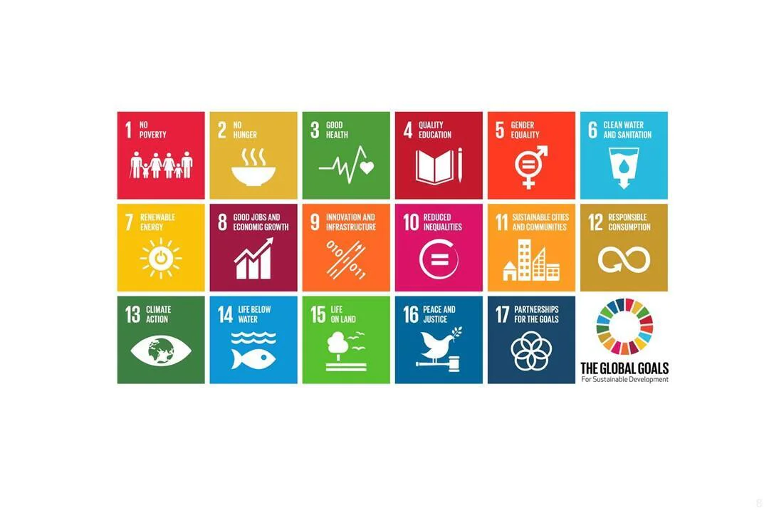 The global goals