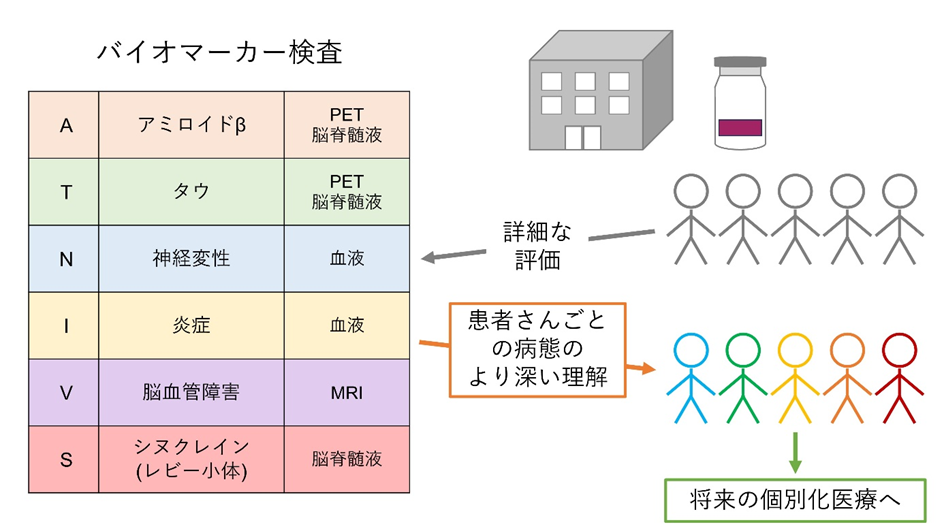 レカネマブ投与患者におけるバイオマーカーの多様性を世界に先駆けて報告
