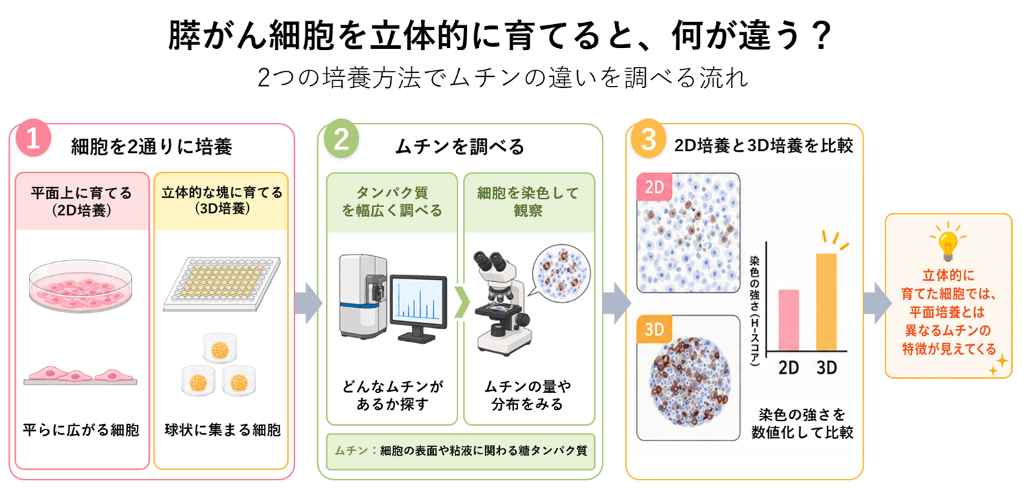 図