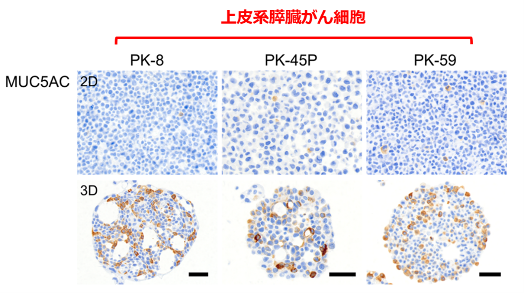 図3