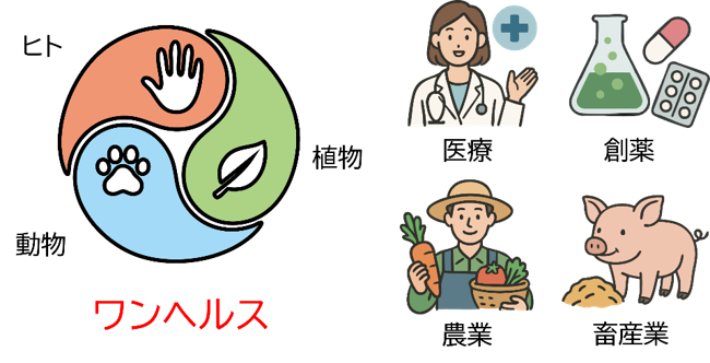 図3