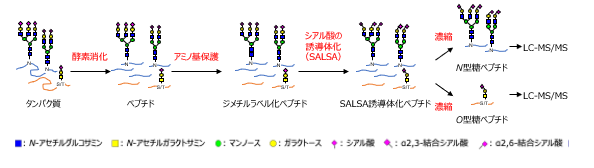 図2-1