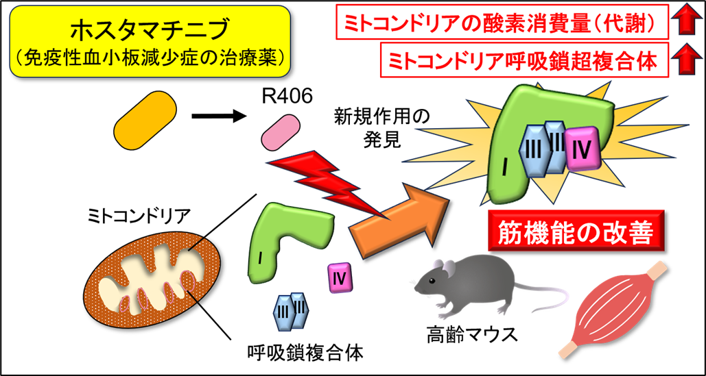 概要図V2