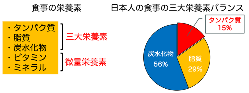 日本人の食事の三大栄養素バランス