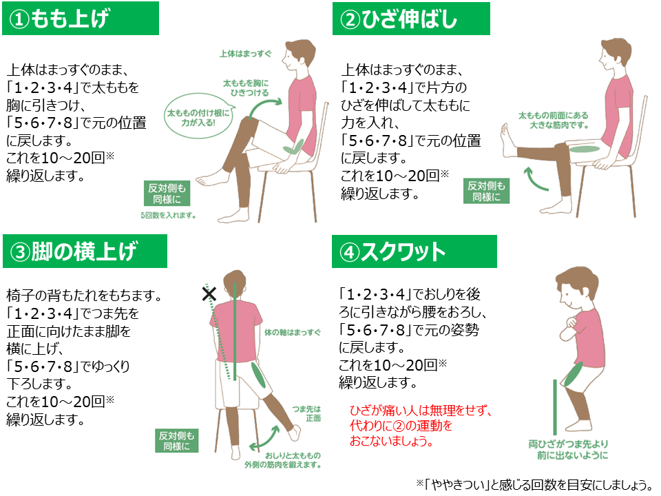 自重負荷による下枝筋群の筋力運動