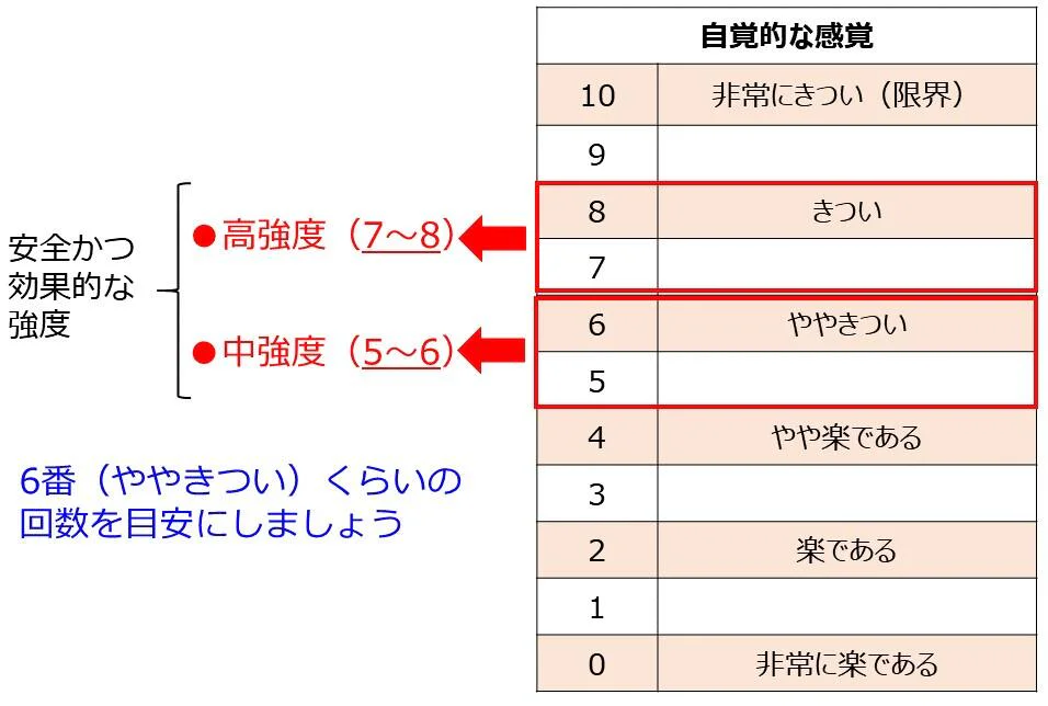 筋力運動の自覚的運動強度（感覚のものさし）