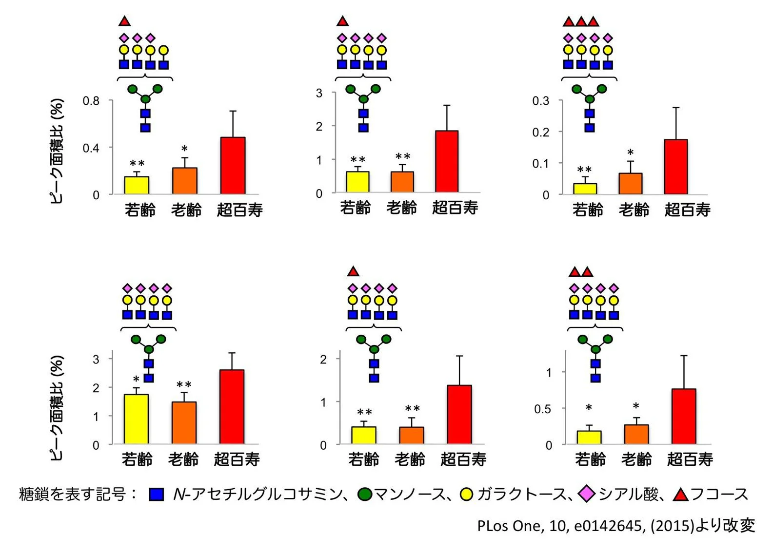 超百長寿で増加した糖鎖