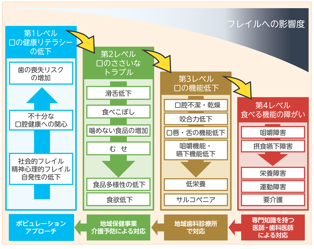高齢期における口腔機能の重要性 ～オーラルフレイルの観点から