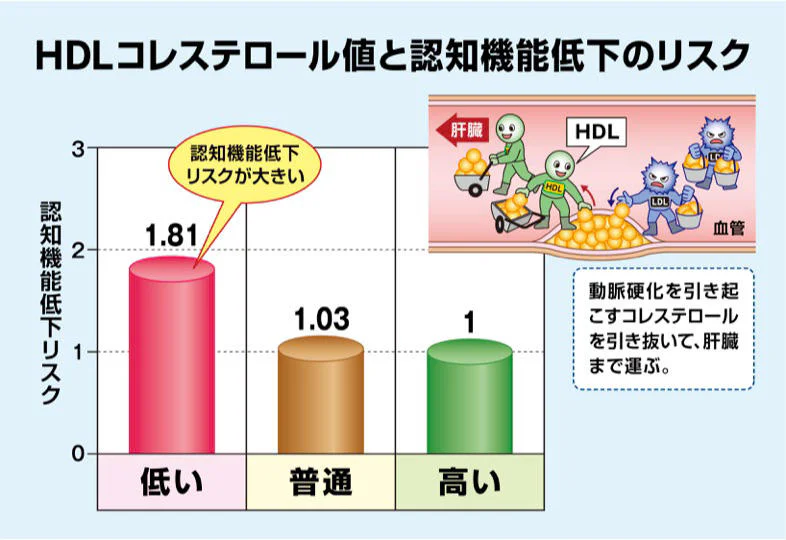 HDLコレステロール値と認知機能低下のリスク