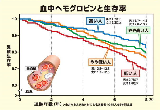 血中ヘモグロビンと生存率