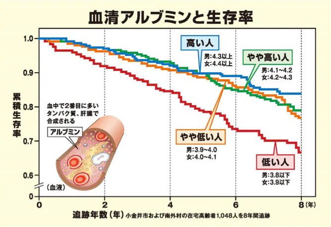 血清アルブミンと生存率