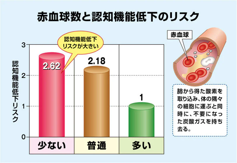 赤血球数と認知機能低下のリスク