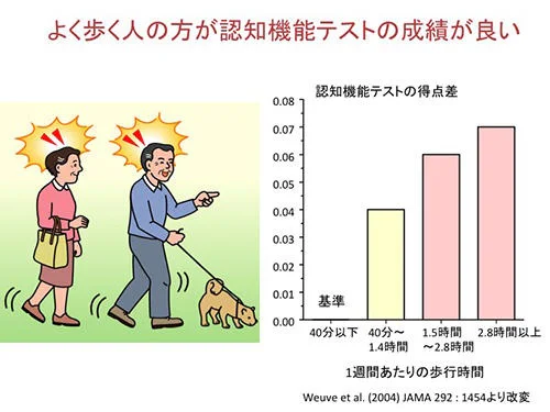 よく歩く人の方が認知機能テストの成績が良い